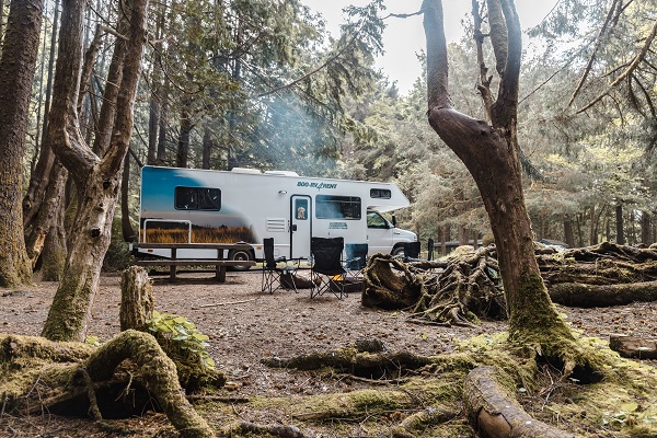5 of the best National Forests in the USA. 